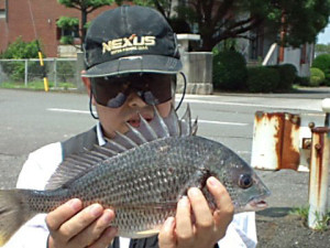 静岡の初釣果キビレ